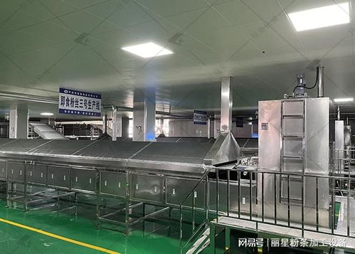 麗星桶裝粉絲粉餅生產(chǎn)設(shè)備 核心優(yōu)勢解析與規(guī)模化生產(chǎn)落地實(shí)踐
